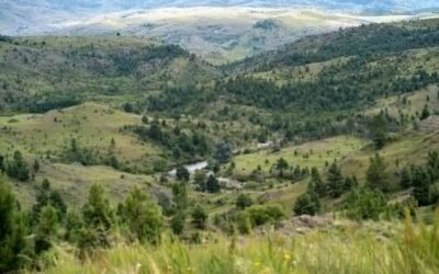 Mesoterapia Granada: El Tratamiento Facial que Está Revolucionando la Estética